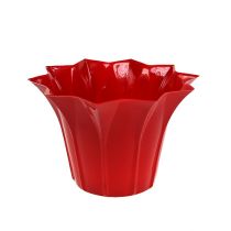 Flower Pot Plastic Red Ø10,5cm 10pcs