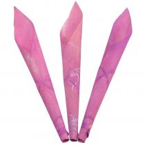 Flower funnel cigar calla pink 18cm - 19cm 12pcs