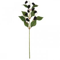 Product High-quality decorative branch with mulberry fruits for stylish arrangements