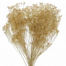 Dried Flowers Broom Bloom Bleached 140g