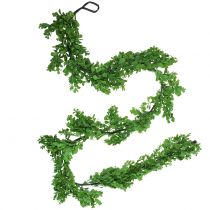 Product Boxwood garland green 180cm