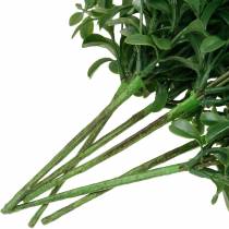 Product Boxwood branches boxwood on the pick artificial green plant 6 pieces