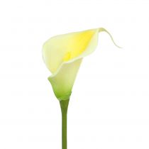 Product Artificial Calla Yellow 57cm 12 pcs