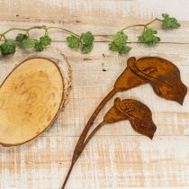 Product Rusty Metal Calla Lily Garden Stakes – Set of 6, 25cm