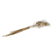 Product Cane Cone natural 25 pcs