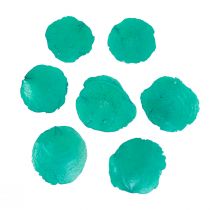 Product Capiz shells Capiz discs mother-of-pearl discs turquoise 7.5–9.5cm 300g