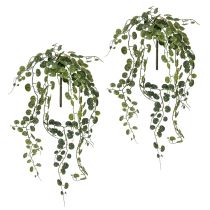 Product Artificial hanging plant with leaves for easy-care home decoration, 60cm, 2 pieces