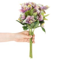 Product Artificial Hellebore Bouquet with Purple Blossoms 35cm Set of 6
```html
<h2>Artificial Hellebore Bouquet for Indoor Decoration</h2>
<p>
This artificial hellebore bouquet features six beautifully detailed stems with delicate purple blossoms. Standing at