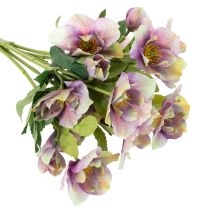 Product Artificial Hellebore Bouquet with Purple Blossoms 35cm Set of 6
```html
<h2>Artificial Hellebore Bouquet for Indoor Decoration</h2>
<p>
This artificial hellebore bouquet features six beautifully detailed stems with delicate purple blossoms. Standing at