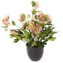 Product Artificial Helleborus potted plant, Christmas rose, for home decoration, 50cm