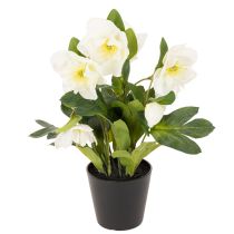 Product Artificial Christmas rose, potted plant, table decoration, 34cm
