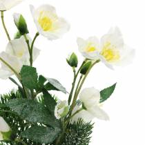 Product Christmas rose with fir tree and moss balls artificially snowed white 33cm