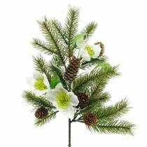 Product Artificial fir branch with Christmas roses and cones L36cm