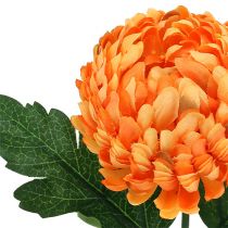 Chrysanthemum Orange Ø7cm L18cm 1pc