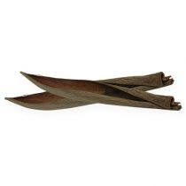 Product Coconut shells natural 60cm 5 pcs