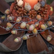 Product Dried coconut leaves Natural decor 60cm 5pcs