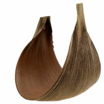 Product Coconut palm leaf Galara curved