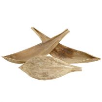 Product Coconut shells bleached coconut leaves 25 pcs