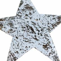 Product Coconut Star White washed 10cm 20pcs