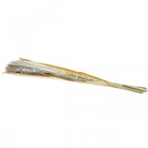 Product Dried grasses Pampas grass natural bunch 80cm 100g