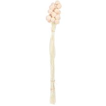 Product Craspedia Peach Dried Flowers Drumsticks 20pcs 50-55cm