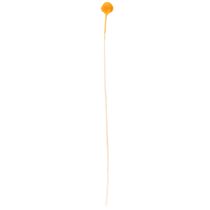 Product Craspedia Dried Flower Bouquet 55cm Orange 20 Stems