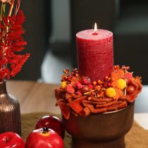 Product Craspedia Dried Flower Bouquet 55cm Orange 20 Stems