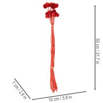Product Craspedia Dried Flowers Dyed Red 55cm 20 Stems