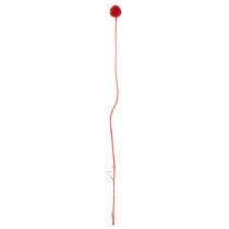 Product Craspedia Dried Flowers Dyed Red 55cm 20 Stems