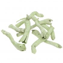 Cupy Roots, Pepe Cone Light Green, White Washed 350g