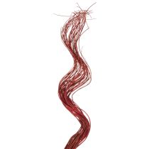 Product Curly Willow Dried Decorative Branch for Creative Floristry and Home Accessories 80cm 70g