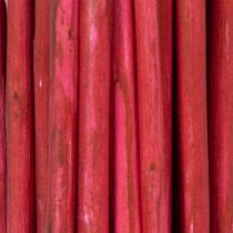Product Curly Willow Dried Decorative Branch for Creative Floristry and Home Accessories 80cm 70g