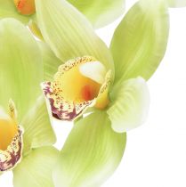 Product Cymbidium orchid artificial 5 flowers green 65cm