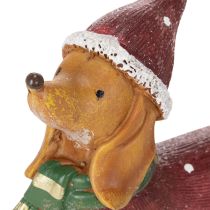 Product Dachshund Christmas Figurine with Gift and Hat, 18cm