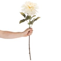 Product Artificial Dahlia Flower for Vase 68cm Cream White
