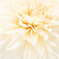 Product Artificial Dahlia Flower for Vase 68cm Cream White
