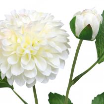 Product Dahlia artificial artificial flowers cream green 2 flowers 60cm