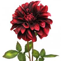 Product Artificial flower dahlia red silk flower autumn 78cm Ø3 / 15cm