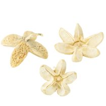 Product Decorative flower bleached 12 pcs