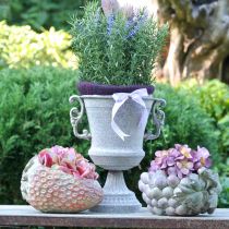 Product Decorative strawberry, plant pot, concrete decoration for planting L17cm