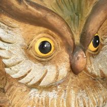 Product Decorative owl decorative figure hand-painted autumn decoration polyresin H14cm