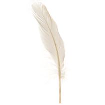 Product Decorative Feathers Real Bird Feathers Champagne 20g