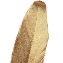 Product Decoration feathers gold Christmas decoration feathers 15-20cm 12 pcs