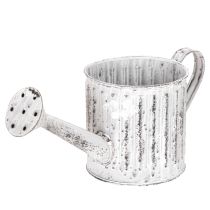 Product Decorative watering can, planter, watering can for planting Ø10.5cm