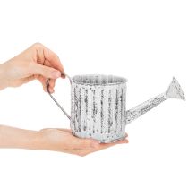 Product Decorative watering can, planter, watering can for planting Ø10.5cm