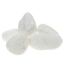 Deco pebbles in the net white 1cm - 2.5cm 1kg