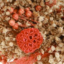 Product Decorative wreath dried flowers flower wreath orange cream Ø25cm