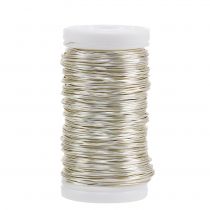 Decorative enameled wire champagne Ø0.50mm 50m 100g