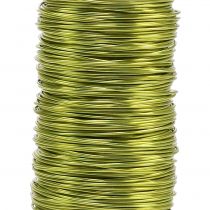 Product Deco enameled wire lime green Ø0.50mm 50m 100g