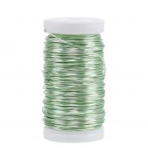 Product Deco enameled wire mint green Ø0.50mm 50m 100g